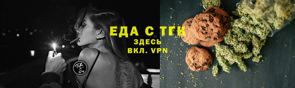 индика Балахна