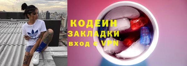 индика Балахна