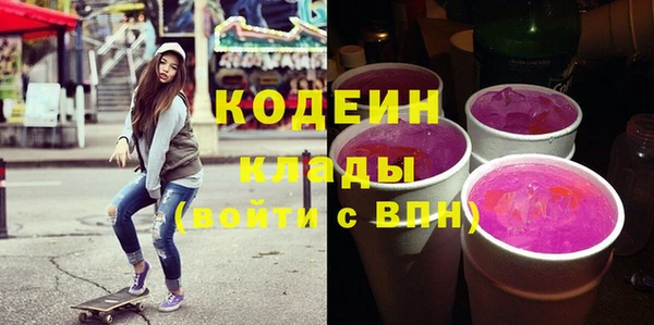 индика Балахна