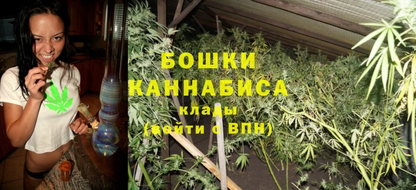 индика Балахна