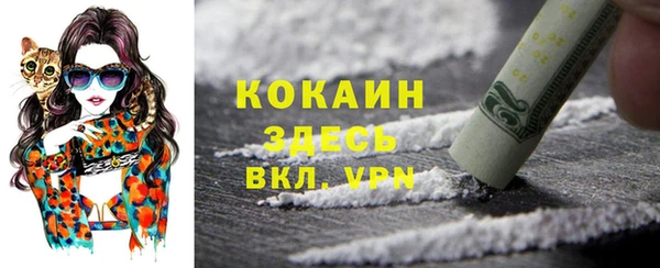 индика Балахна