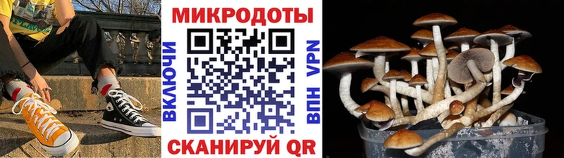наркошоп  Вилючинск  Галлюциногенные грибы Psilocybe 